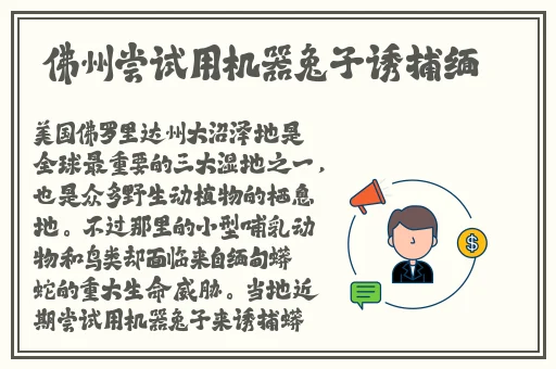 66**网